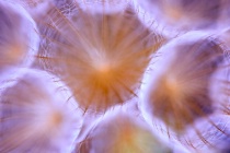 December 2013 Photo Contest 2nd Place Prize Winner