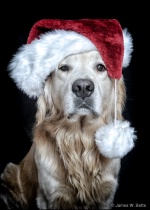 December 2013 Photo Contest 2nd Place Prize Winner