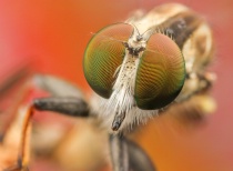 December 2013 Photo Contest 2nd Place Prize Winner