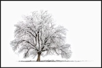 January 2014 Photo Contest 2nd Place Prize Winner