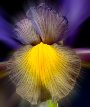 February 2014 Photo Contest 2nd Place Prize Winner