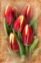 March 2014 Photo Contest 2nd Place Prize Winner