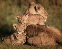 March 2014 Photo Contest 2nd Place Prize Winner