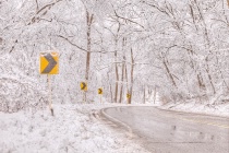 March 2014 Photo Contest 2nd Place Prize Winner