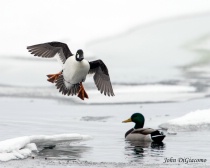 April 2014 Photo Contest 2nd Place Prize Winner