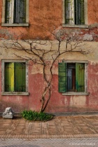 April 2014 Photo Contest 2nd Place Prize Winner