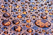 February 2015 Photo Contest 2nd Place Prize Winner