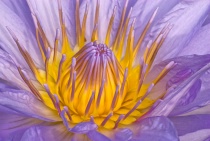 October 2014 Photo Contest 2nd Place Prize Winner