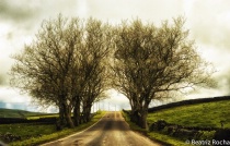 July 2014 Photo Contest 2nd Place Prize Winner