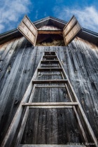 July 2014 Photo Contest 2nd Place Prize Winner