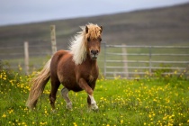 July 2014 Photo Contest 2nd Place Prize Winner