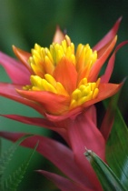 August 2014 Photo Contest 2nd Place Prize Winner