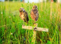 August 2014 Photo Contest 2nd Place Prize Winner