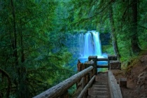 August 2014 Photo Contest 2nd Place Prize Winner