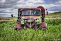 August 2014 Photo Contest 2nd Place Prize Winner