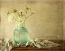 April 2018 Photo Contest 2nd Place Prize Winner