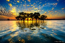 August 2014 Photo Contest 2nd Place Prize Winner