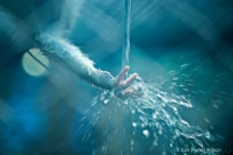July 2016 Photo Contest 2nd Place Prize Winner