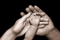 August 2014 Photo Contest 2nd Place Prize Winner