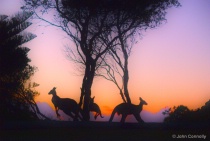 September 2014 Photo Contest 2nd Place Prize Winner