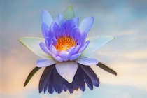 September 2014 Photo Contest 2nd Place Prize Winner