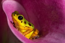 November 2014 Photo Contest 2nd Place Prize Winner