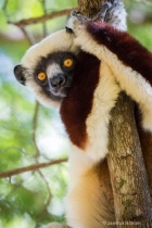 January 2015 Photo Contest 2nd Place Prize Winner