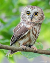 September 2014 Photo Contest 2nd Place Prize Winner