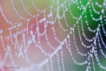 September 2015 Photo Contest 2nd Place Prize Winner