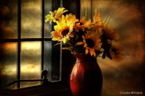 October 2014 Photo Contest 2nd Place Prize Winner
