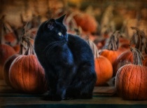 September 2018 Photo Contest 2nd Place Prize Winner