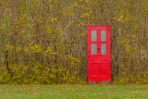 November 2014 Photo Contest 2nd Place Prize Winner