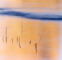 November 2014 Photo Contest 2nd Place Prize Winner