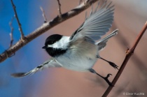 January 2015 Photo Contest 2nd Place Prize Winner