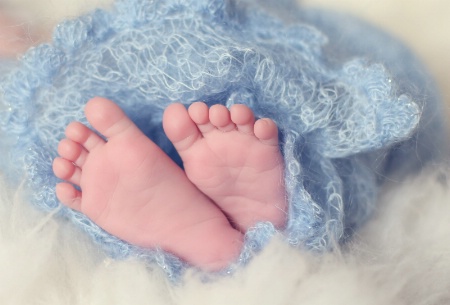 January 2015 Photo Contest 1st Place Prize Winner
