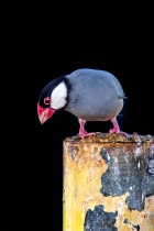 January 2015 Photo Contest 2nd Place Prize Winner