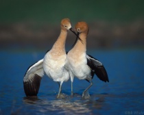 January 2015 Photo Contest 2nd Place Prize Winner