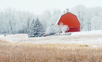 January 2015 Photo Contest 2nd Place Prize Winner