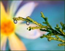 September 2015 Photo Contest 2nd Place Prize Winner