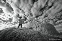 February 2015 Photo Contest 2nd Place Prize Winner