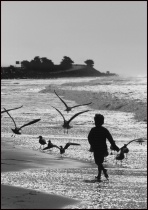 February 2015 Photo Contest 2nd Place Prize Winner