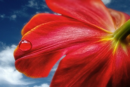 February 2015 Photo Contest 1st Place Prize Winner