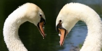 February 2015 Photo Contest 2nd Place Prize Winner