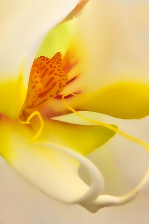 February 2015 Photo Contest 1st Place Prize Winner