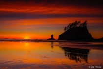 February 2015 Photo Contest 2nd Place Prize Winner