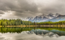 February 2015 Photo Contest 2nd Place Prize Winner