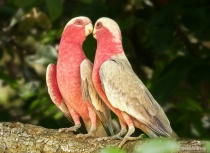 February 2015 Photo Contest 2nd Place Prize Winner