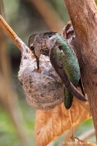 March 2016 Photo Contest 2nd Place Prize Winner