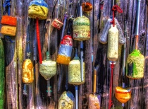 March 2015 Photo Contest 2nd Place Prize Winner