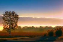March 2015 Photo Contest 2nd Place Prize Winner